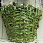basket-coconut-leaves
